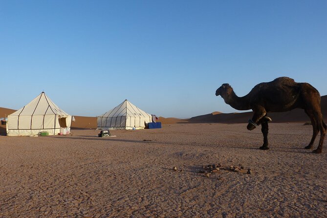 3-Days Private Sahara Desert Trek - Price and Logistics: What Your $222.04 Actually Buys
