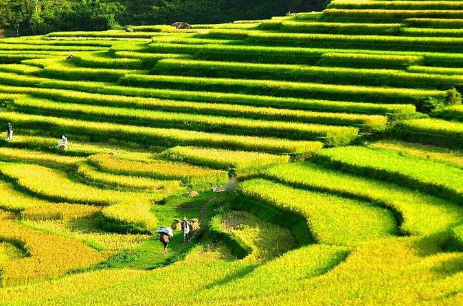 3 Days Pu Luong Off-road Trekking Best for Mountain Lovers - Trekking pace, group size, and packing tips that actually help