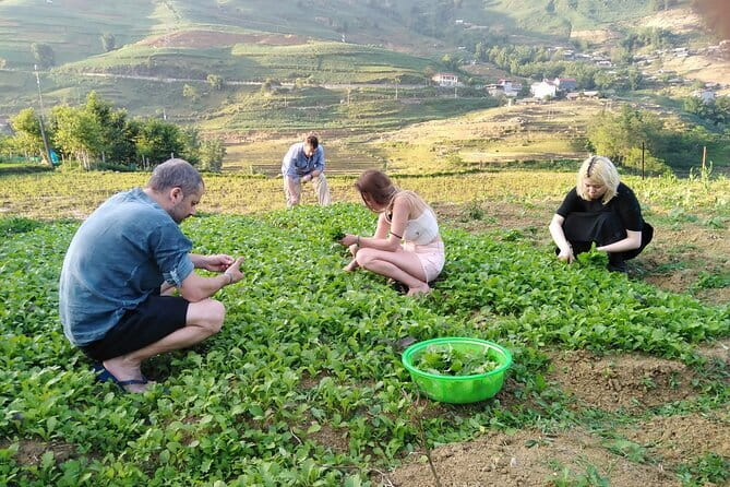 3-Days Sapa Trekking With Local Guide Overnight in Tavan Village - Hanoi to Sapa: getting there without burning your whole day