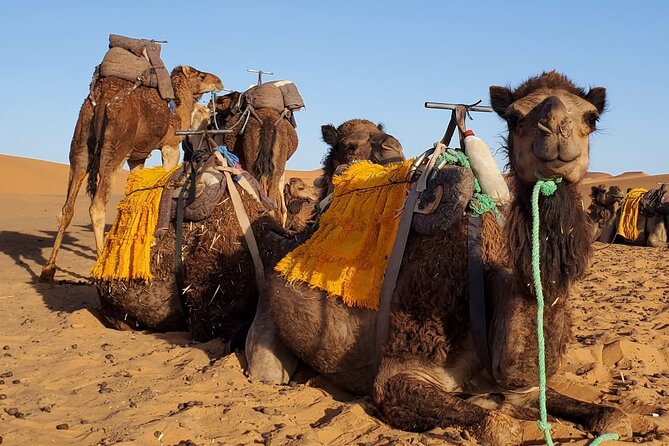 3 Days Tour from Marrakech to Merzouga Dunes and Camel Trek - Key Things You’ll Like Most
