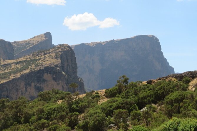 3 Days Trekking Simien Mountains Tours - Day 3 to Imet Gogo: vulture spotting and a shorter finish