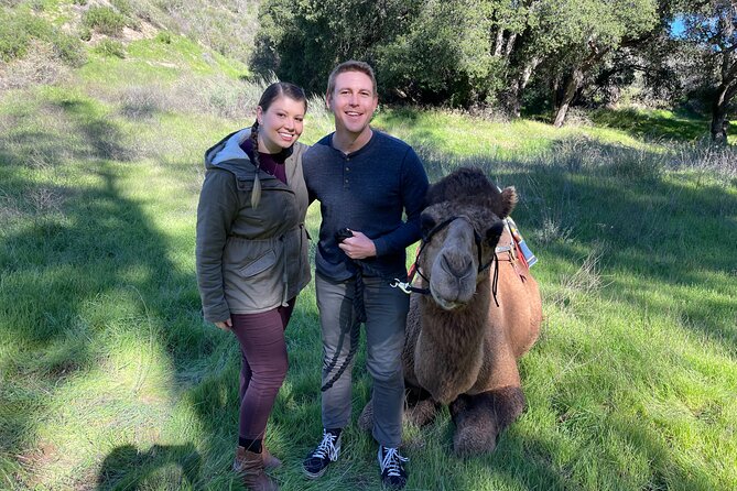 3 Hour Camel Trek into the Forest and Ranch in California - Back to the ranch: hands-on animal time with 200+ creatures