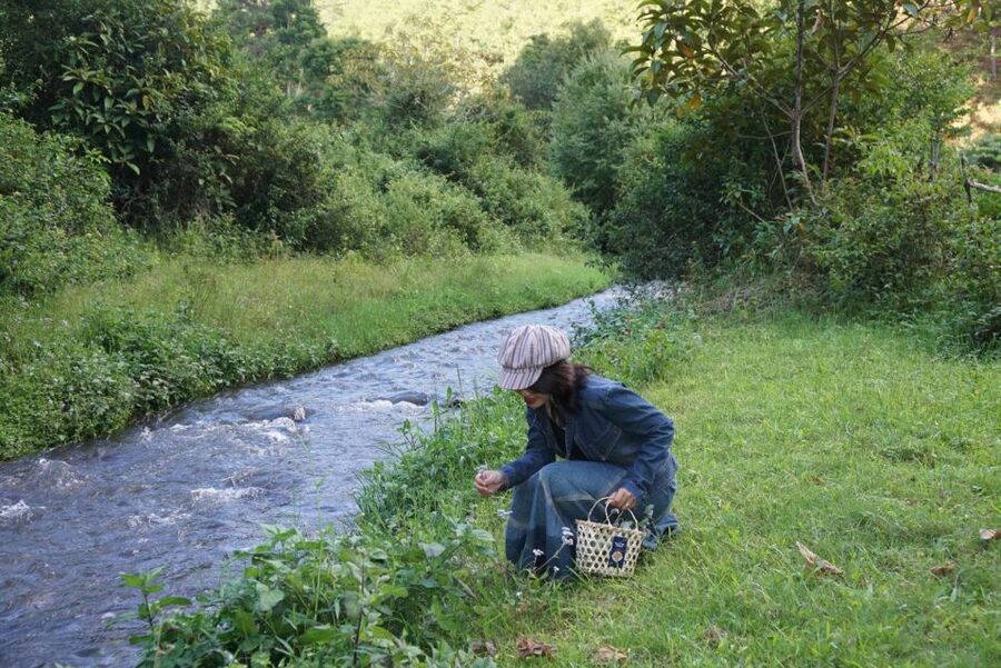 3-Hours Trekking Tour to Hidden Waterfall and Sturgeon Farm - 5 Key Things I’d Put on Your Radar