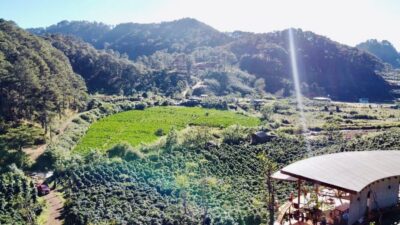 3-Hours Trekking Tour to Hidden Waterfall and Sturgeon Farm - Sturgeon Farm Stop: see caviar production without the marketing fog