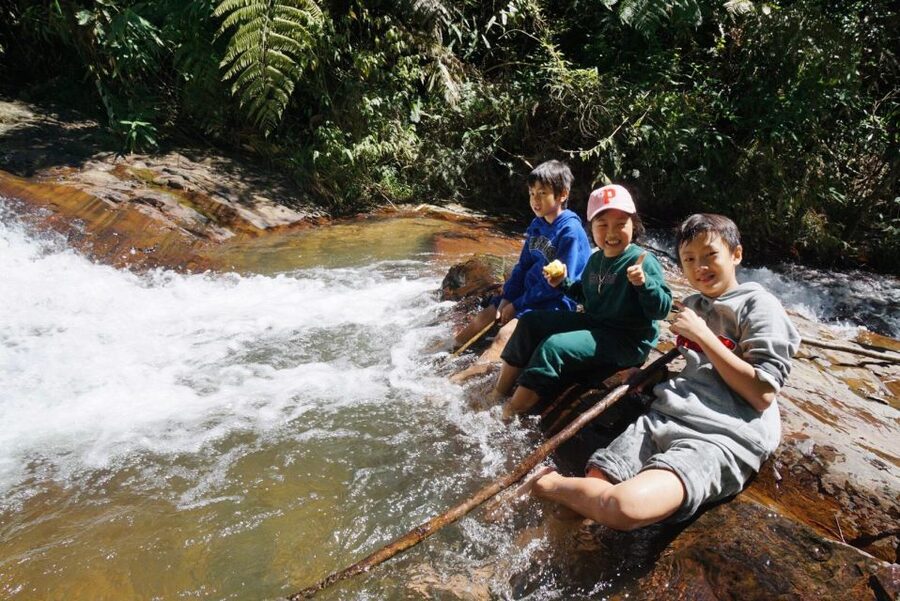 3-Hours Trekking Tour to Hidden Waterfall and Sturgeon Farm - Twin Beans coffee plantation and roastery: farm-to-cup, not a quick stop