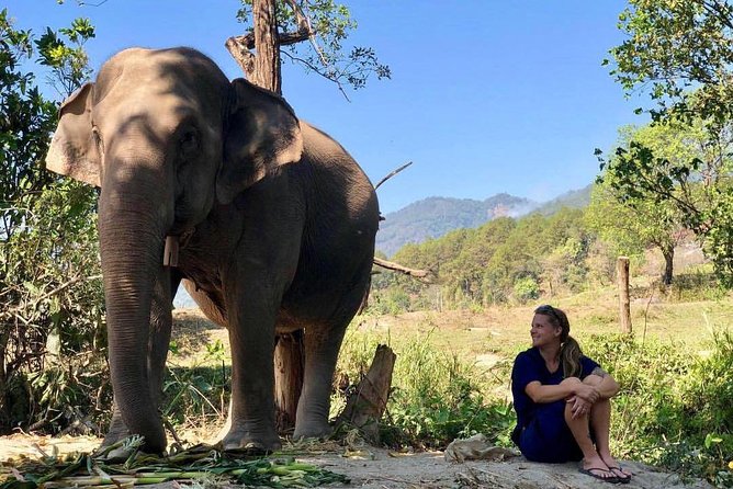 3-in-1: Doi Inthanon Tour, Elephant Sanctuary, and Trekking Trail - Ban Mae Klang Luang Hill Tribe Village Coffee Stop