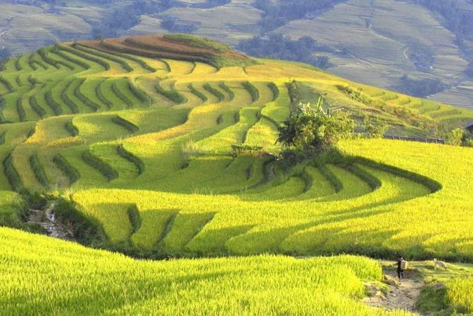 3-Night Sapa Trek and Homestay with Round Trip Transfer from Hanoi - The Muong Hoa Valley Hike: Terraces, Bamboo Forest, and Steady Climbing