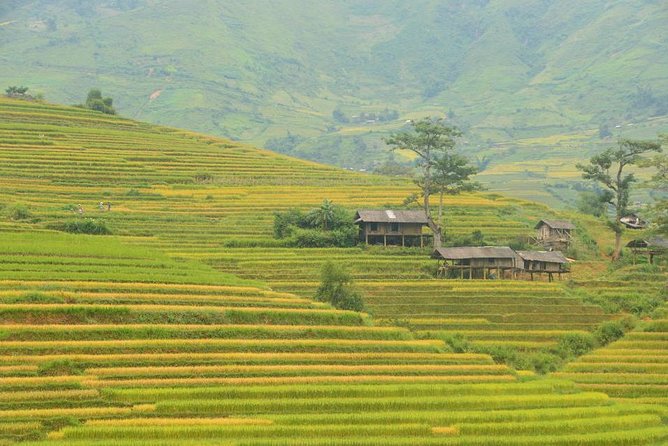 3-Night Sapa Trek and Homestay with Round Trip Transfer from Hanoi - Ta Van Zay Homestay (Zay Hill Tribe): The Most Personal Night