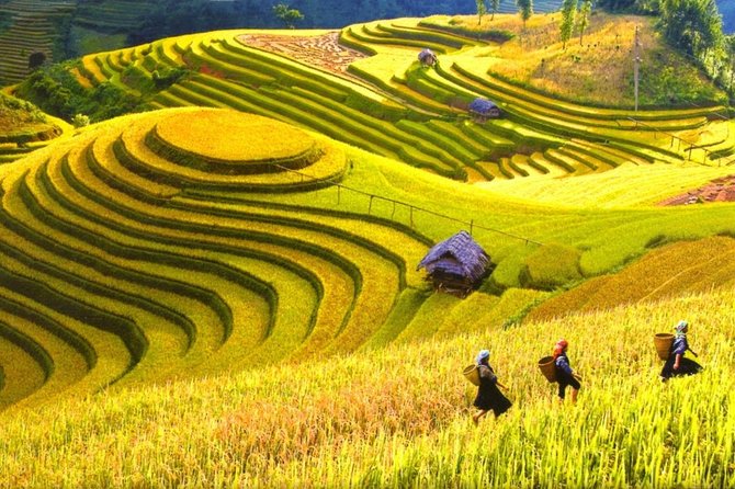 3-Night Sapa Trek and Homestay with Round Trip Transfer from Hanoi - Y Linh Ho and Giang Ta Chai: Village Stops That Give Context
