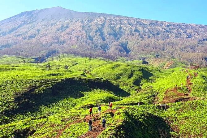 3D 2N Mount Rinjani Trekking Tour To Summit And Lake - Logistics that make the trek feel less stressful