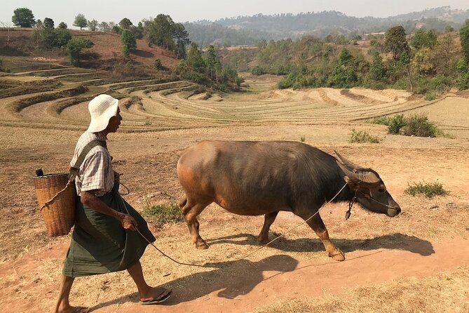 3Days Less Touristic Way Trekking from Kalaw To Inle - Homestays in local villages: what you’re really signing up for