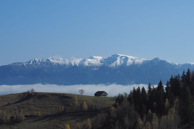 4-Day Carpathian Trek: Bucegi Mountains and Piatra Craiului National Park - Brasov Start, Pickup, and a Small-Group Feel