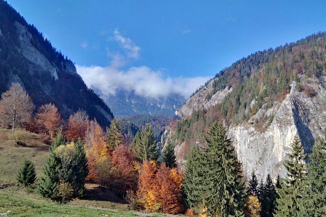 4-Day Carpathian Trek: Bucegi Mountains and Piatra Craiului National Park - Day 4’s Real Choice: Highest Peak (2238m) or a Weather-Based Alternative