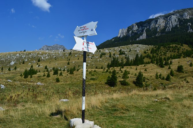 4-Day Carpathian Trek: Bucegi Mountains and Piatra Craiului National Park - Traditional Meals and Guesthouse Living in Mountain Villages