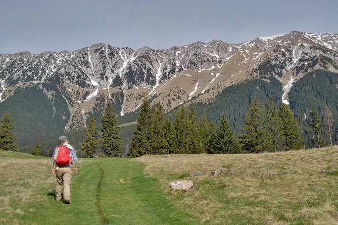 4-Day Carpathian Trek: Bucegi Mountains and Piatra Craiului National Park - Day 1 in Bucegi Mountains: Bran’s Wild Side and the Sheep Farm Stop