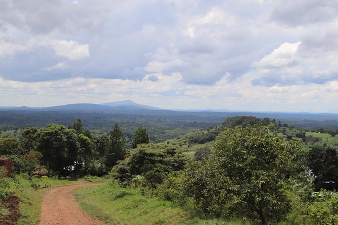 4-Day Gorillas, Wildlife and Chimpanzee Trek at Kalinzu Forest - Pace, fitness, and what to pack for two trekking days