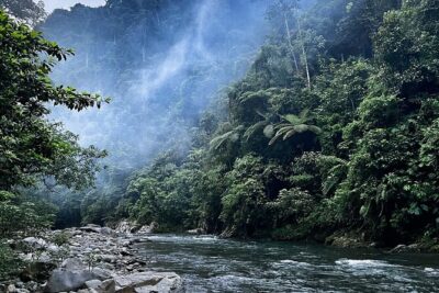 4 Day Jungle Adventure including 2 day trek - Your 4-day rhythm in plain time: day by day