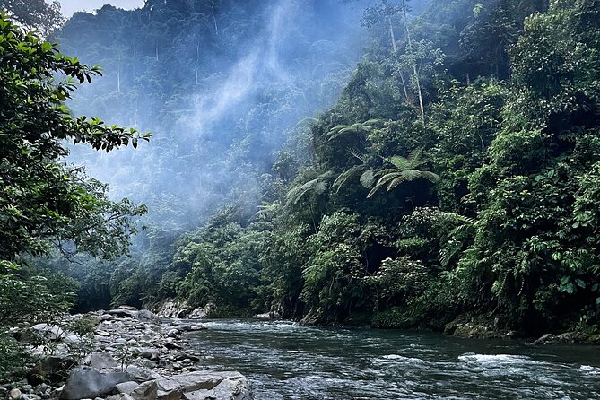 4 Day Jungle Adventure including 2 day trek - Your 4-day rhythm in plain time: day by day