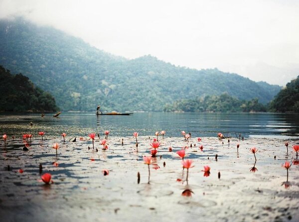 4-Day Jungle Trekking in Ba Be National Park - Key takeaways before you go