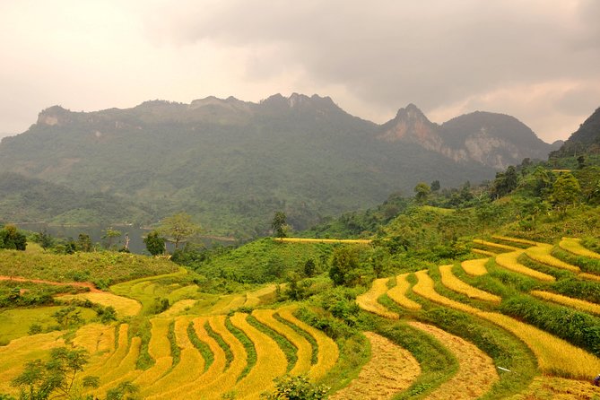 4-Day Jungle Trekking in Ba Be National Park - Price and logistics: what $679 really buys you