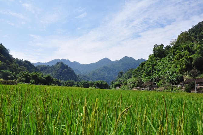 4-Day Jungle Trekking in Ba Be National Park - Food and drink: 10 meals plus corn wine