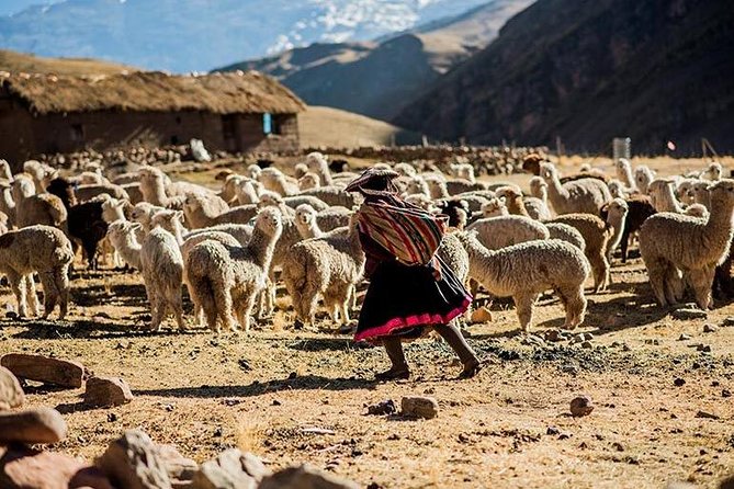 4-Day Lares Trek to Machu Picchu - Why the Lares route feels different than the usual Machu Picchu hike