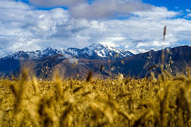 4-Day Lares Trek to Machu Picchu - Price and value: $656 for a full route, not just a guide