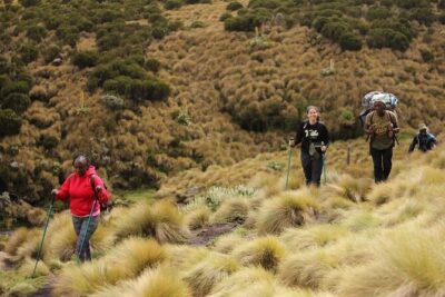 4-Day Mount Kenya Trekking with Pick Up - Nairobi pickup and the Sirimon transfer: getting your day right