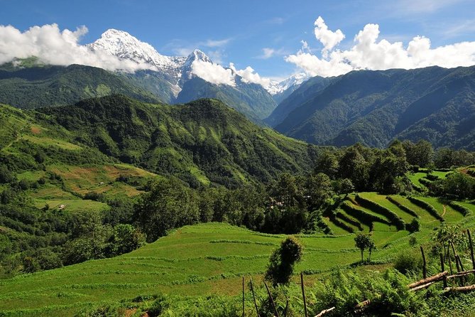 4-day Poon Hill Trek - Price and value: what $400 buys (and what it doesn’t)