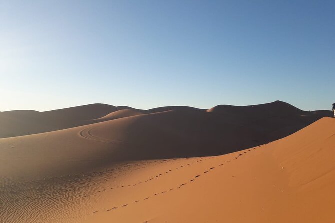 4 Day Private Desert Trek from M'Hamid to Chegaga - Day 4 by 4x4: reverse the route, hot shower, then goodbye