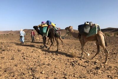 4 Day Private Desert Trek from M'Hamid to Chegaga - Days 2–3: 20 km, quiet terrain, and real bivouac life