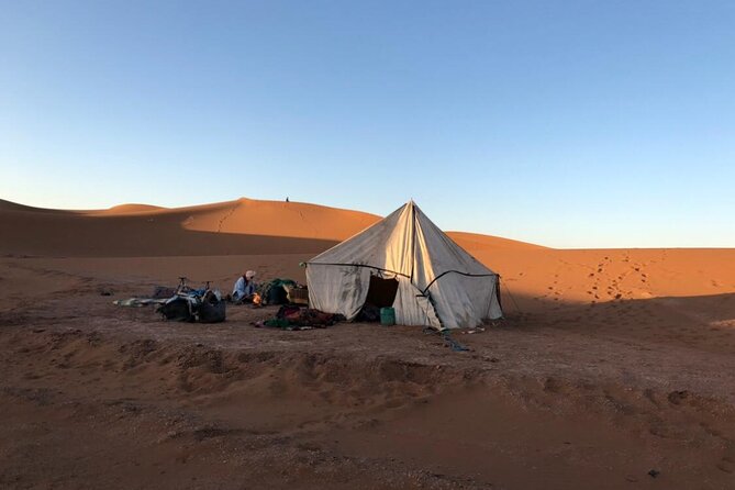 4 Day Private Desert Trek from M'Hamid to Chegaga - Price and value: what you’re paying for at $406.51