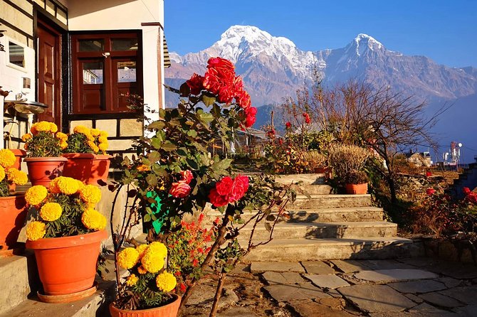 4-Day Private Poon Hill Trekking Tour - Poon Hill at sunrise: Day 3’s 3,210 m grind and the view payoff