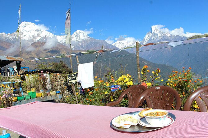 4-Day Private Trekking Experience to Poon Hill and Ghandruk - Day 2 in Ghorepani: rhododendron walks and overnight mountain views