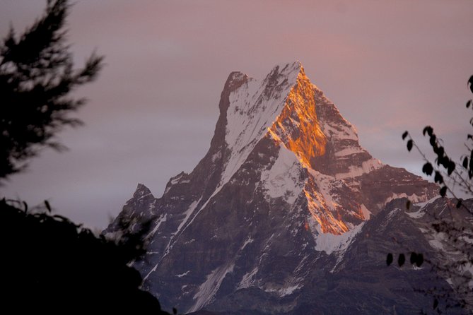 4-Day Private Trekking Experience to Poon Hill and Ghandruk - Poon Hill Marga: golden light on Dhaulagiri, Annapurna, and Fishtail