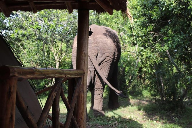 4 Day Uganda Gorilla Trekking Safari with Lake Bunyonyi - Price and value: what you’re paying for at $2,089.24 per person