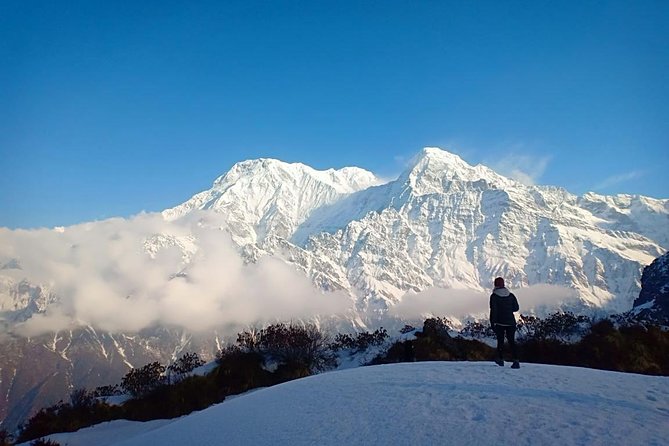 4 Days Mardi Himal Base Camp Trek - 4500 Meters - Day 2: The High Camp Climb to 3,550m With Annapurna and Fishtail Views