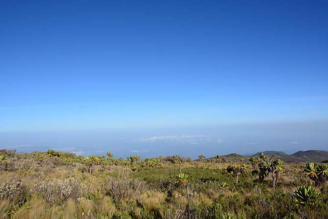 4 Days mount Elgon Trek, 4321m a.s.l - Uganda’s Mount Elgon: Why This Volcano Tour Feels Different