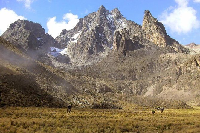 4 Days Mount Kenya Trekking - Key things to know before you go