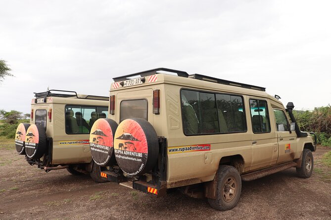 4 Days Mount Kenya Trekking - Day 4: rainforest descent, 2 hours down, and back to Nairobi