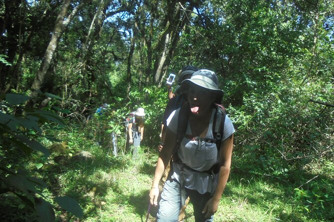4 Days Mount Meru Climbing | Hiking | Trekking Tour - Armed Rangers: Why Wildlife Changes the Way You Travel Here