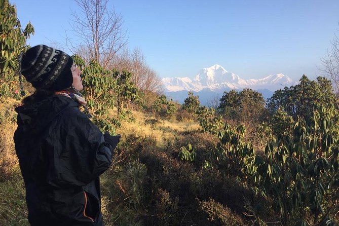 4 Days Poon Hill Trek - Poon Hill Trek in 4 Days: who it fits best (and who should think twice)