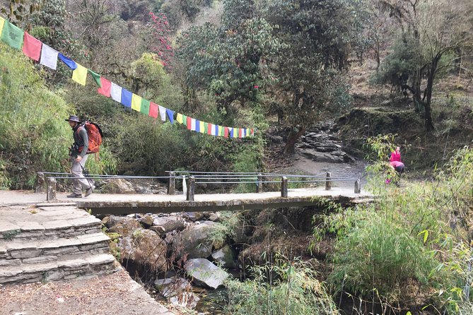 4 Days Poon Hill Trek - Guesthouses, Tea Stops, and the Real Food Budget
