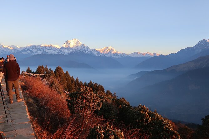 4 Days Poon Hill Trek from Pokhara - Day 2: Rhododendron Trails to Ghorepani and Better Views on the Move
