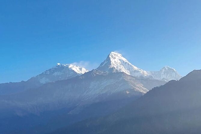4 Days Poon Hill Trek from Pokhara - Day 3: Poon Hill Sunrise, Then Down the Trail to Tadapani