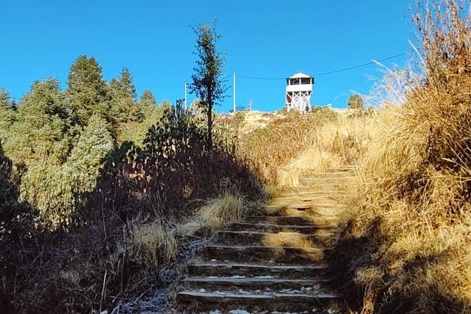 4 Days Poon Hill Trek from Pokhara - Guesthouses Along the Way: Comfortable Enough to Keep Trekking