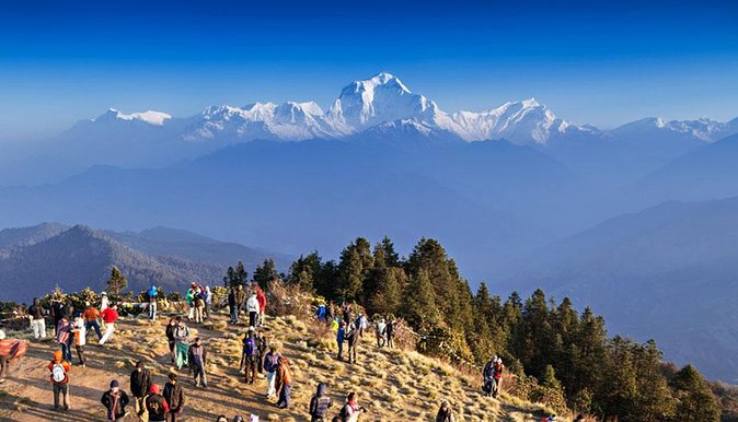4 Days Poonhill Trek From Pokhara To Pokhara - Pokhara to Nayapul, then back to town in 4 days