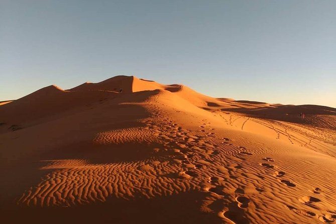 4 Days: Private Desert Tour from Marrakech to Merzouga & Camel Trek - Rissani and Alnif fossils: the morning after the sand