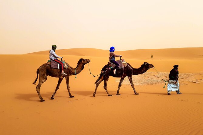 4 days trek - The legs of camels - Key highlights