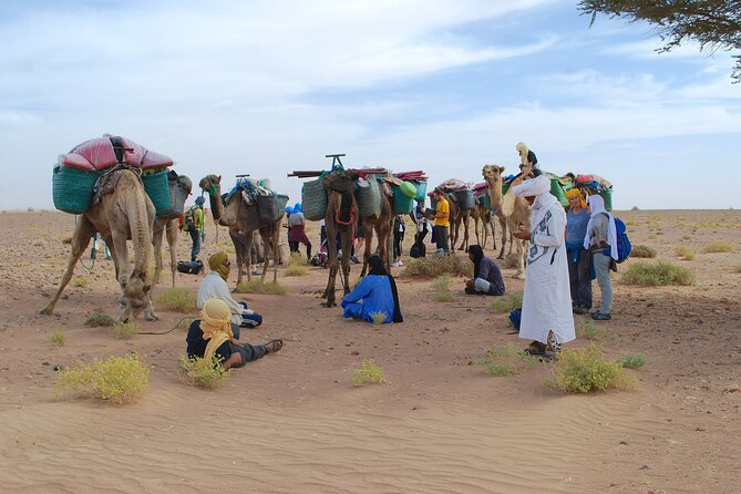 4 days trek - The legs of camels - What camping life feels like (and what you must bring)